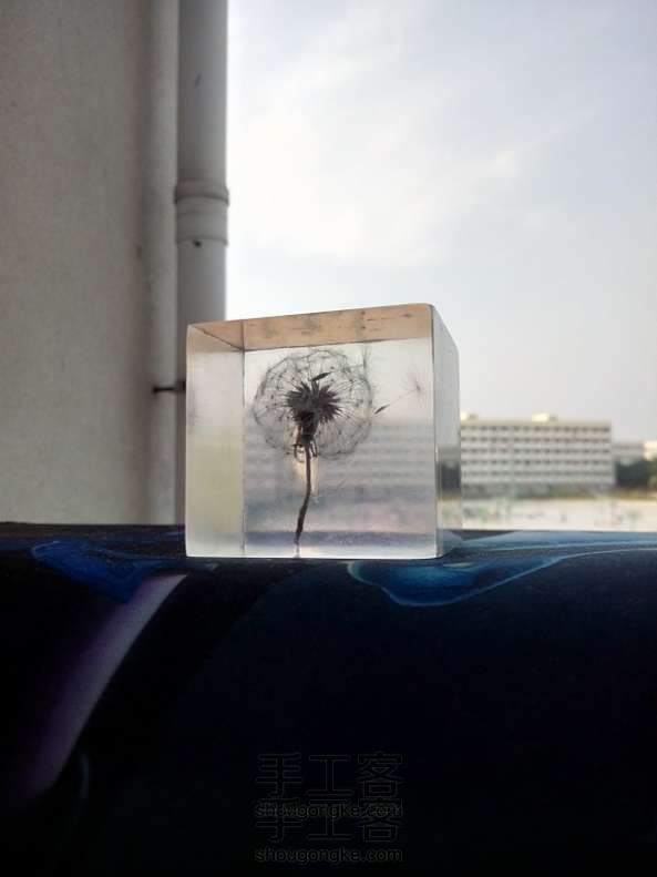 还记得那水晶滴胶的蒲公英吗? 滴胶教程