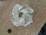 德国玫瑰Rose 折纸教程