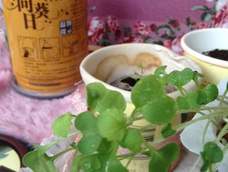 酸奶盒种油菜籽
