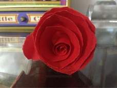 超简单纸玫瑰不用折