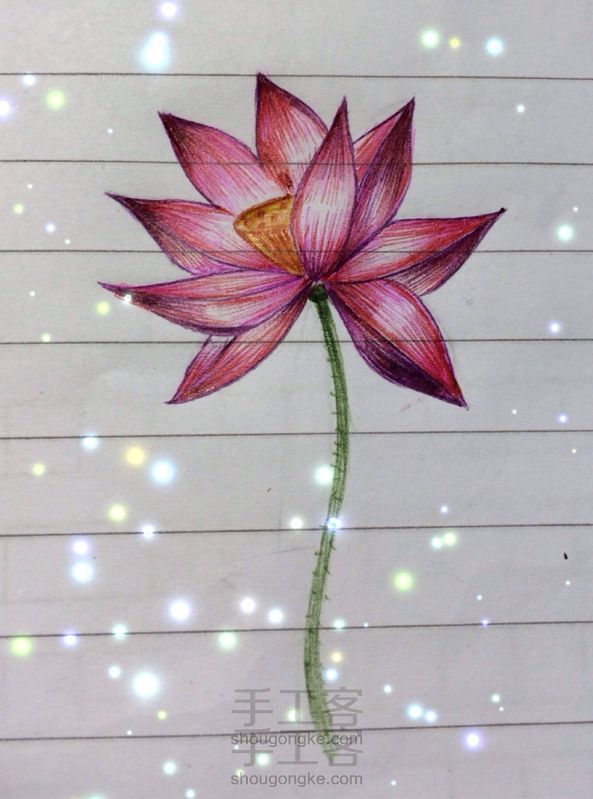 油笔画—荷花