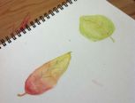 水溶性彩色铅笔•手绘树叶