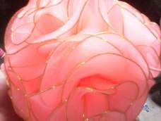丝网玫瑰 花团锦簇