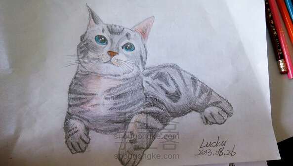 绘画教程 彩铅短耳猫