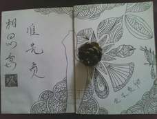 创意手工 瓶盖画 生硬开出繁花~