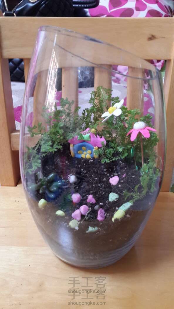 微观植物手工DIY