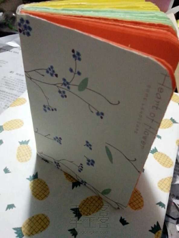 制作精美绝伦小本本