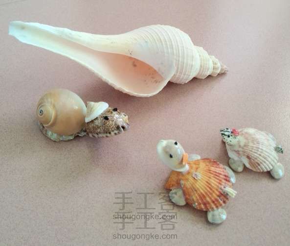 「两只乌龟」海贝壳的DIY