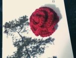 Molly小编织：红玫瑰的红绽放在此刻