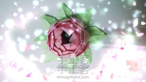 逼真莲花制作过程(完整版)