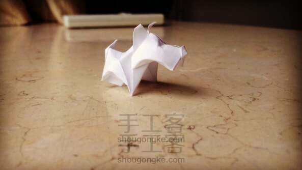 与萌宠的邂逅♥(///▽///)♥ 折纸教程