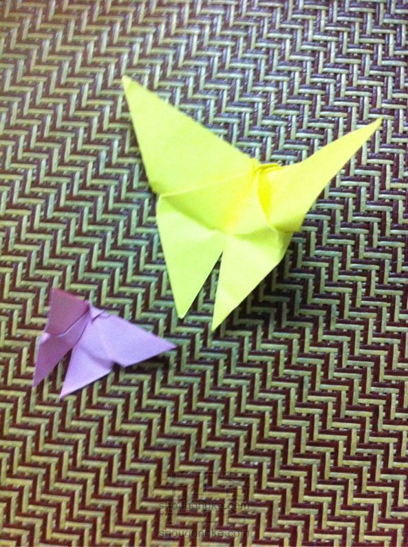 简单漂亮的蝴蝶 折纸教程