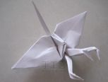 折纸：三头千纸鹤  折纸教程