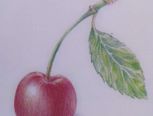 萌之物语.水果系列:教你画可爱红樱桃