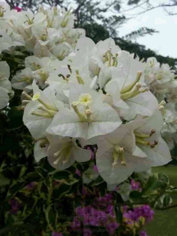 迷你小茶几 轻粘土教程