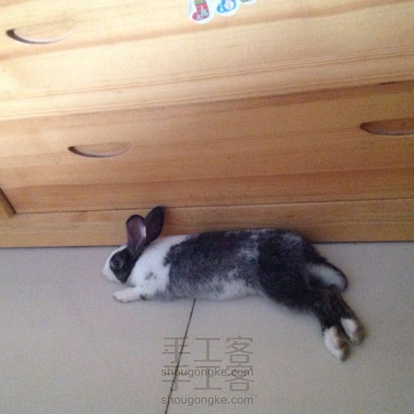 冰冰泥塑 轻粘土教程