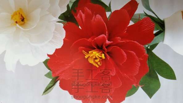 牡丹 折纸方法