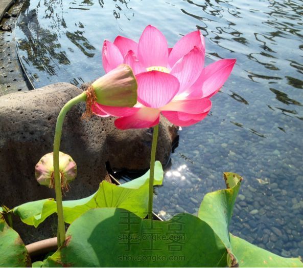 DIY 最简单的五彩手绳来啦自己做一个试试(PS.粽子节可以带噢)