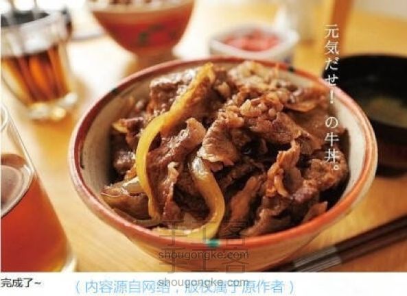 （转）正宗牛肉饭！ 这酸爽～