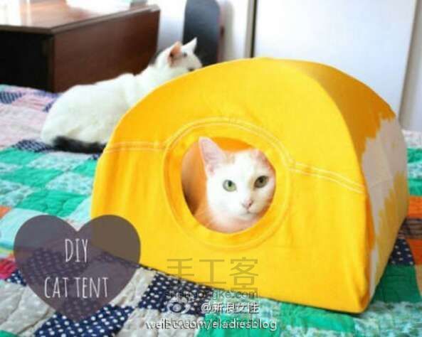 旧T恤改造猫咪小帐篷（转）