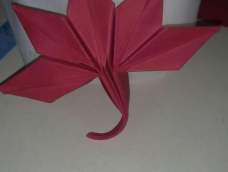 折纸:枫叶