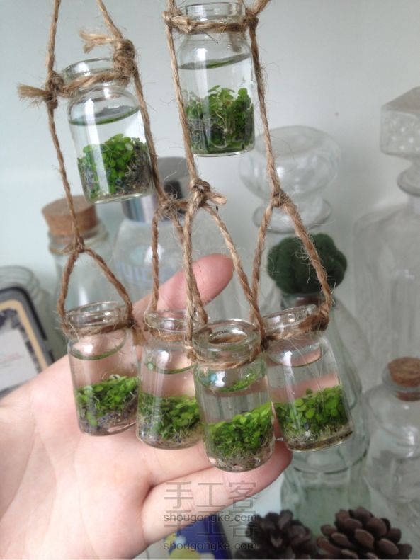 废旧安瓶让小植物安家创意DIY