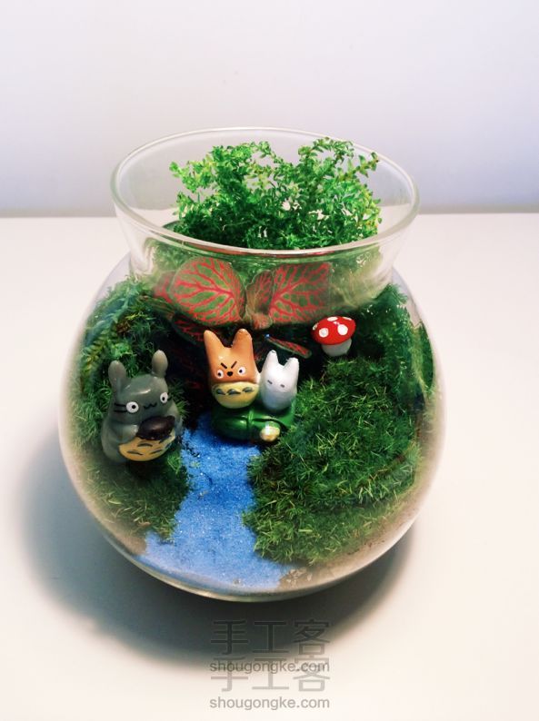 微景观生态瓶DIY制作方法