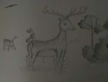 画只鹿