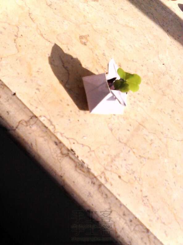 可耐的三角盒子= ̄ω ̄=原创