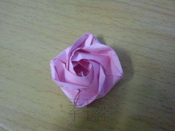 Evi玫瑰(修改版)
