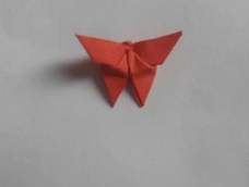 学《翩翩起舞的蝴蝶》