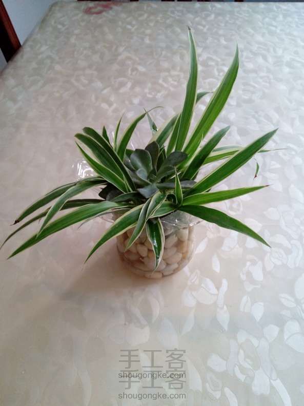 透明的百花瓶 旧物改造