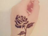 手绘纹图   玫瑰