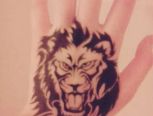 手绘纹图教程     狮子