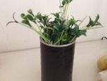 奶粉桶变身