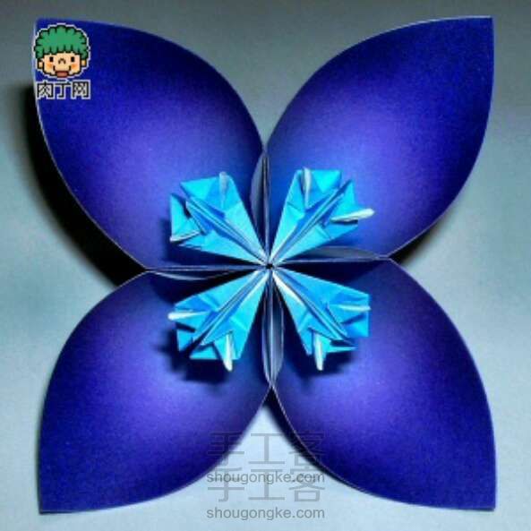 樱花(转载)