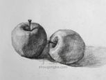 两个苹果素描