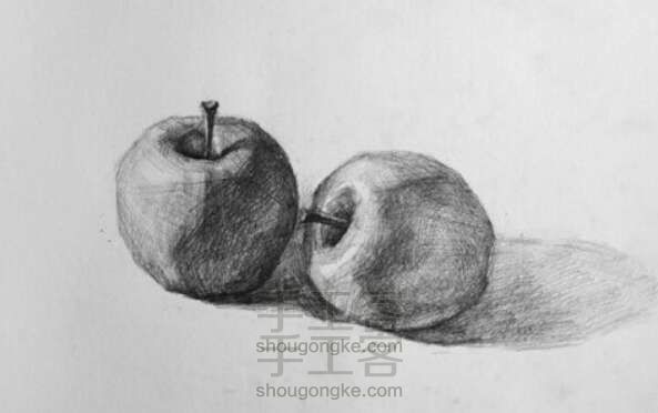两个苹果素描