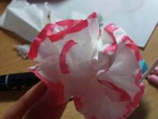纸巾康乃馨