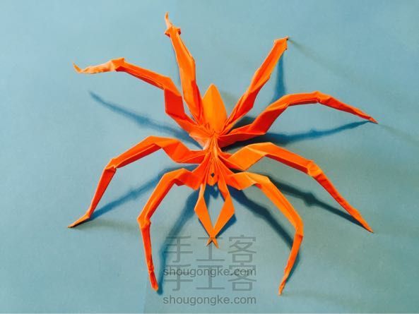 蜘蛛折纸制作教程