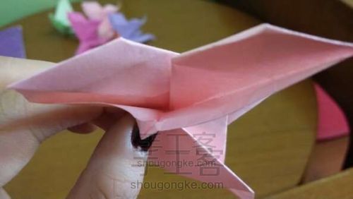 蝴蝶折纸教程 第12步