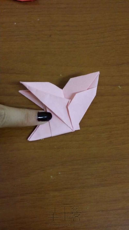 蝴蝶折纸教程 第15步
