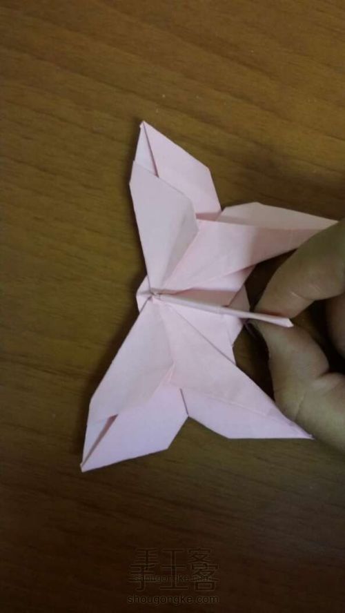蝴蝶折纸教程 第17步