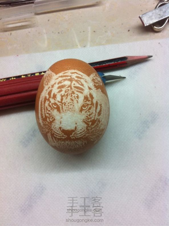 鸡蛋浮雕教程 