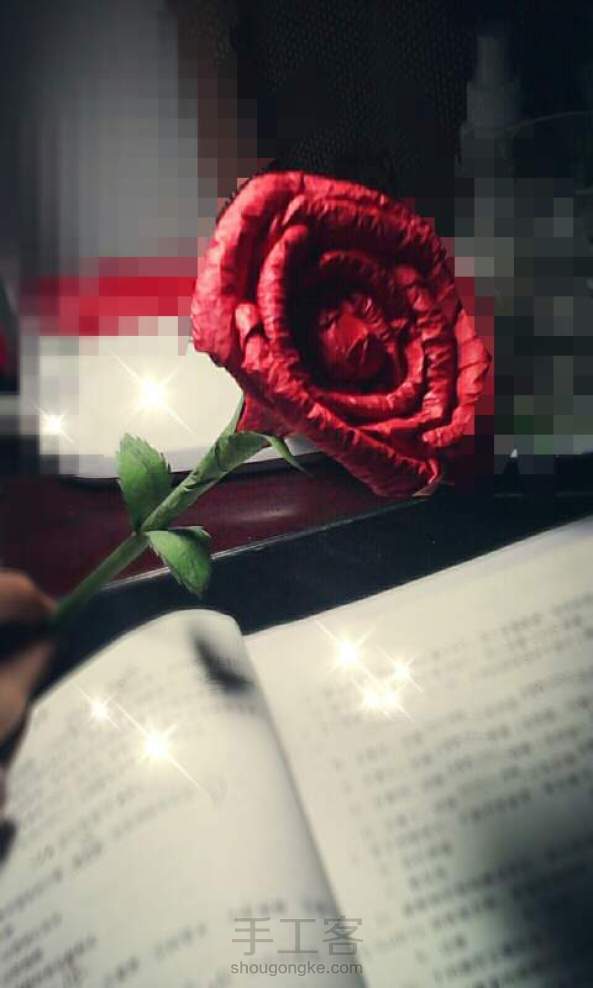 简单美哒哒的玫瑰花～