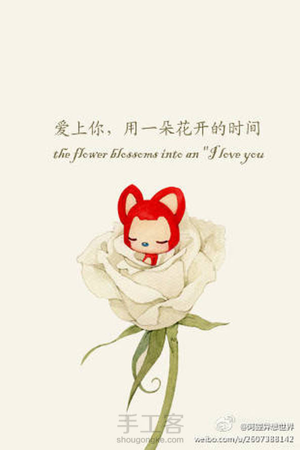 爱上你,用一朵花开的时间