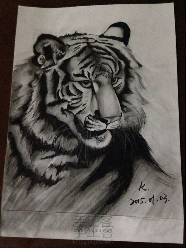 画虎 手绘教程