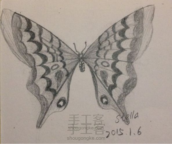 3种蝴蝶，一学就会超容易 手绘教程