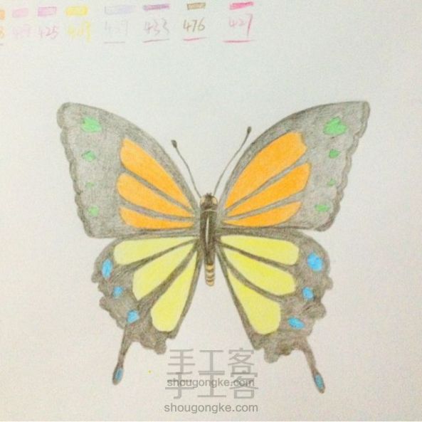 珊瑚绘画课堂_简单学画画之对称的应用--彩铅蝴蝶
