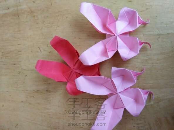 凤尾蝶折纸教程